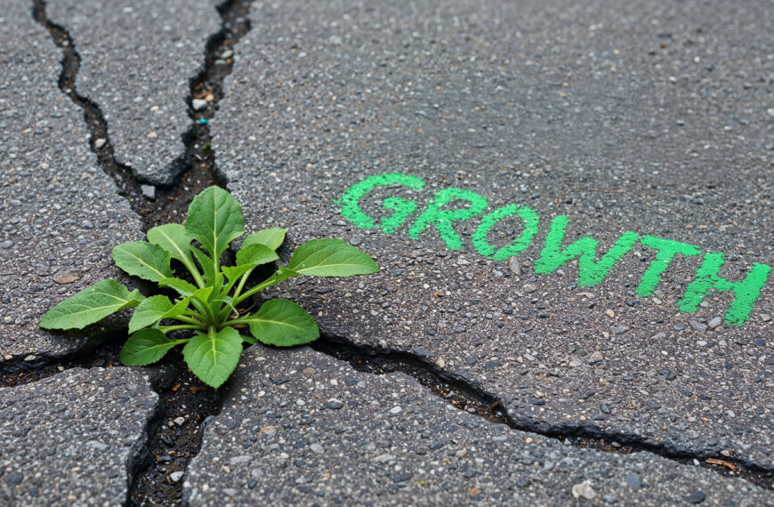 Institutional Fragility Is Rising